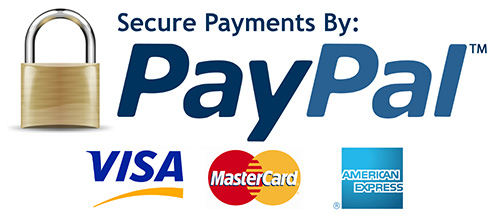 delnext_blog_shop_online_payments